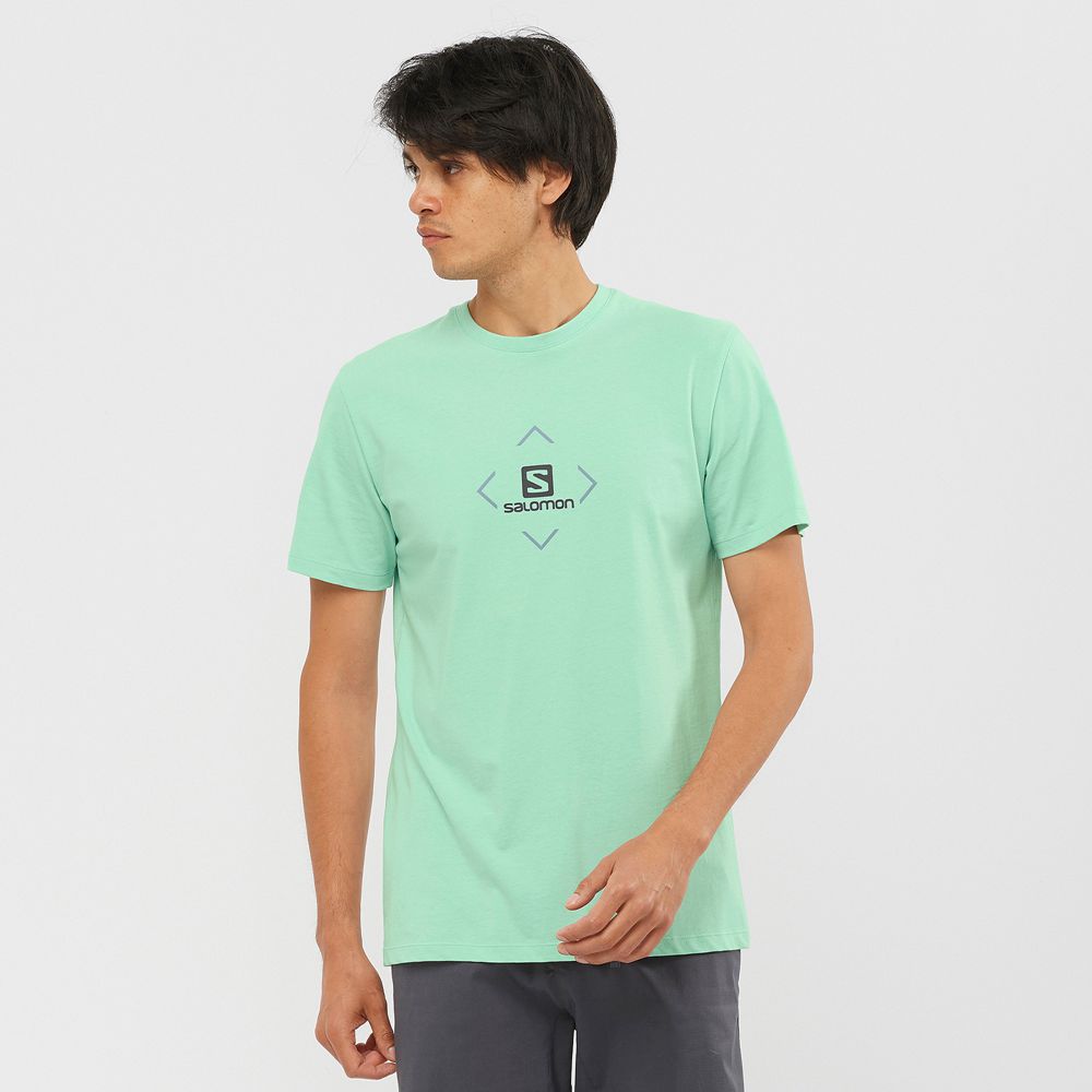 Salomon Israel SALOMON COTTON M - Mens T shirts - Mint (ZEGS-78419)